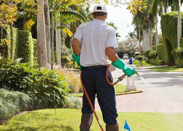 About Mattituck NY Pest Control Pros
